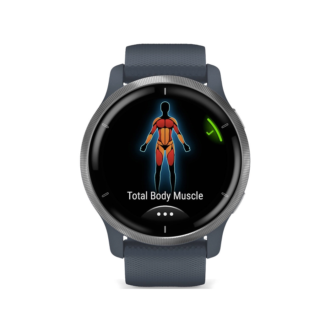 Смарт-годинник Garmin Venu 2 Silver Bezel with Granite Blue Case and Silicone Band