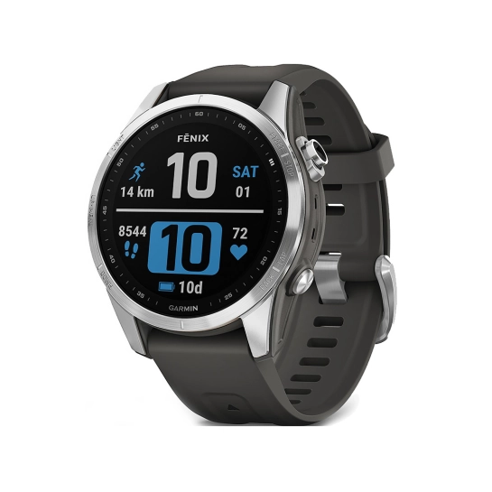 Смарт-годинник Garmin Fenix 7S Silver with Graphite Band
