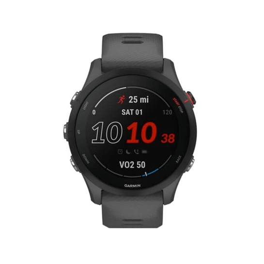 Смарт-годинник Garmin Forerunner 255 Slate Gray