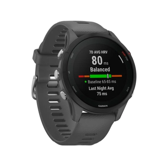 Смарт-годинник Garmin Forerunner 255 Slate Gray