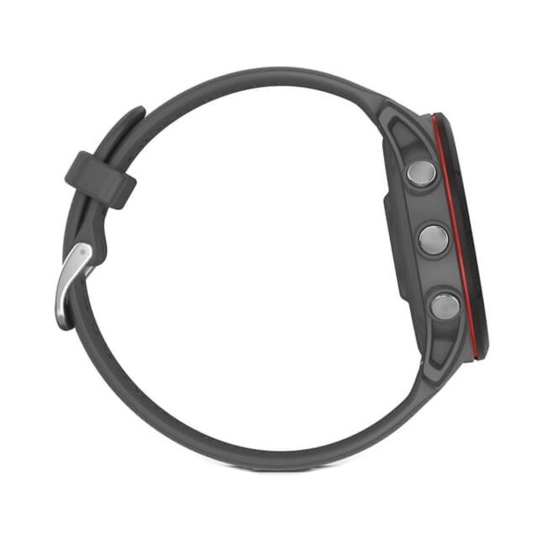 Смарт-годинник Garmin Forerunner 255 Slate Gray