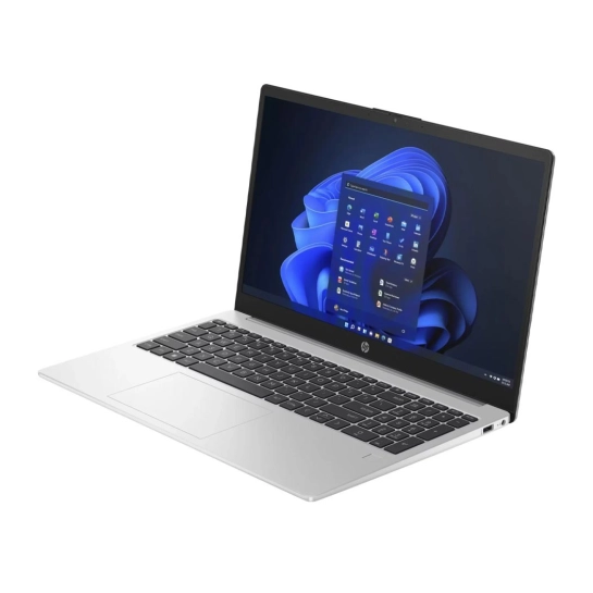 Ноутбук HP 255R G10 (B9YQ11ET)