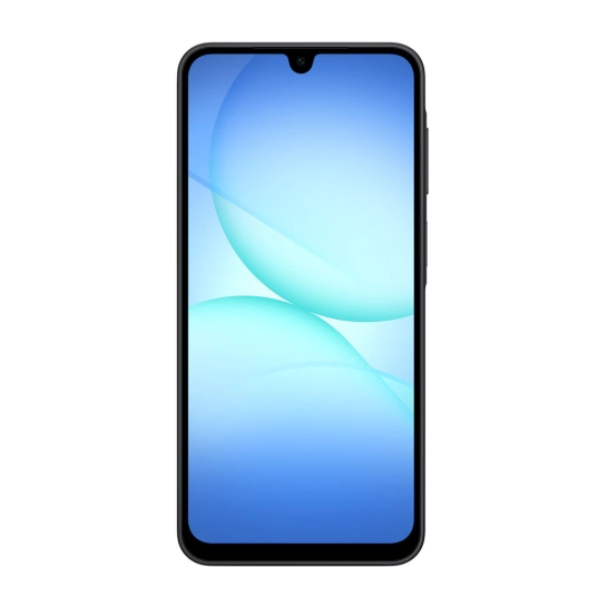Смартфон Samsung Galaxy A17 LTE 8/256Gb Black (SM-A175FZKE) Global