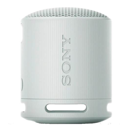 Портативна акустика Sony SRS-XB100 Grey (SRSXB100H.CE7)