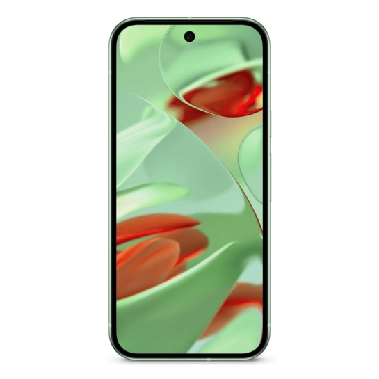 Смартфон Google Pixel 9 12/256GB Wintergreen Global