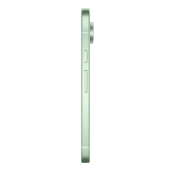 Смартфон Google Pixel 9 12/256GB Wintergreen Global